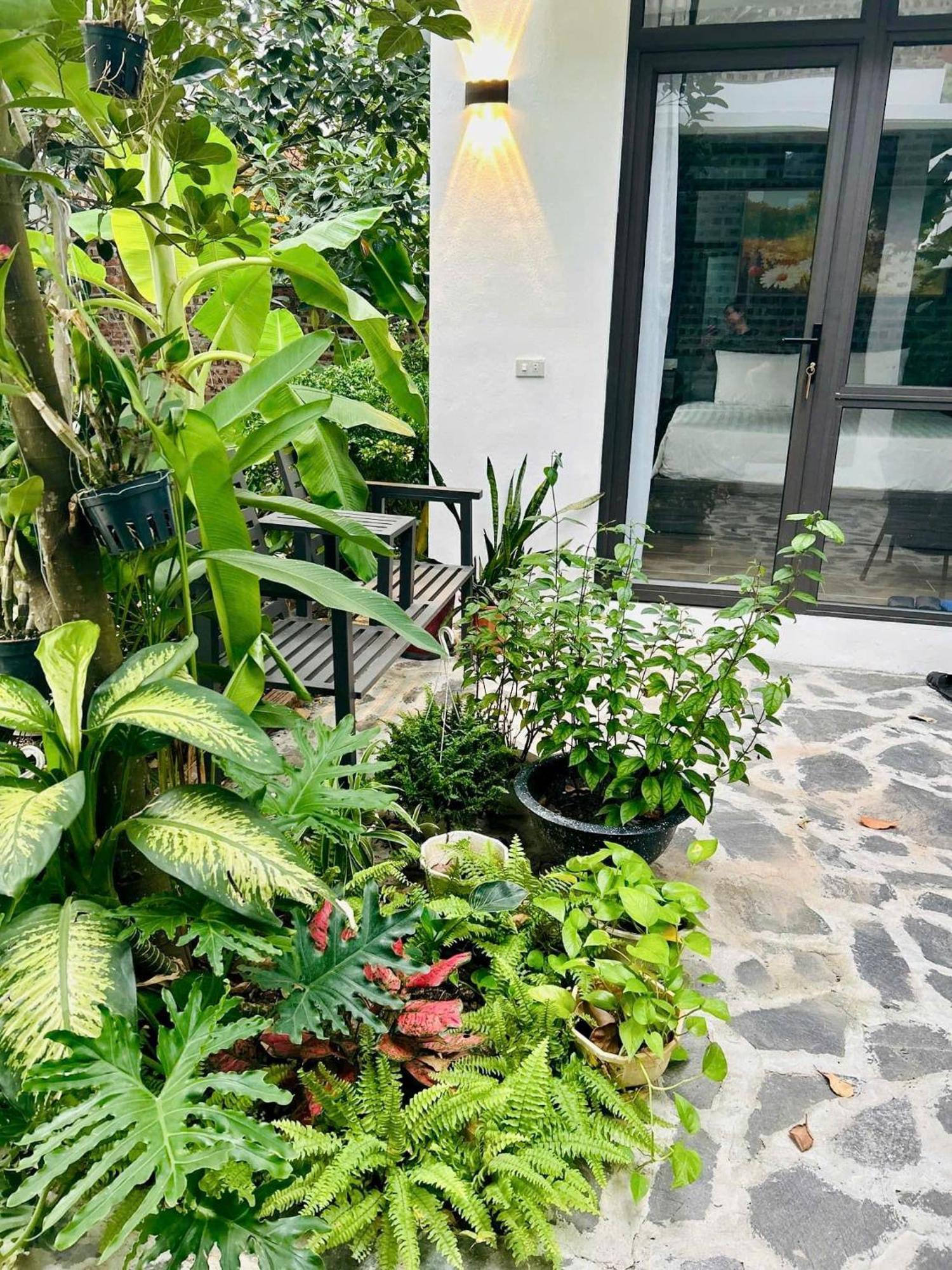 Tam Coc Boutique Garden Hotell Ninh Binh Eksteriør bilde